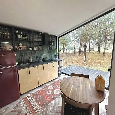 100 Drzew - Lesny Klimat Mazur